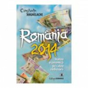 Romania 2014: starea economica pe calea redresarii - Constantin Anghelache imagine