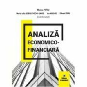 Analiza economico-financiara - Monica Petcu imagine