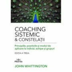 Coaching Sistemic & Constelatii - John Whittington imagine