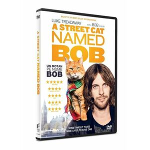 Un motan pe nume Bob / A Street Cat Named Bob | Roger Spottiswoode imagine