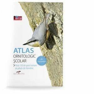 Atlas ornitologic scolar de buzunar. Peste 130 de specii comune de pasari din Romania imagine