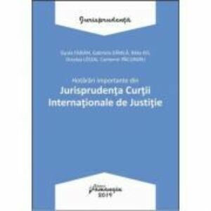 Hotarari importante din Jurisprudenta Curtii Internationale de Justitie imagine