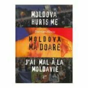 Moldova ma doare - Damian Hincu imagine