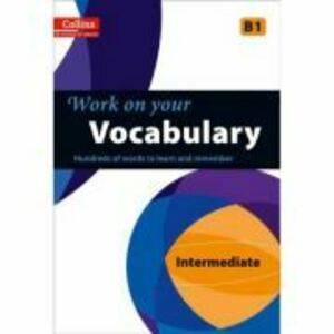 Work on Your… - Vocabulary B1. A practice book for learners at Intermediate level imagine