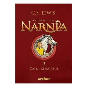 Cronicile din Narnia Vol.3: Calul si baiatul imagine