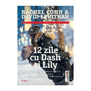 Dash, Lily Si Cartea Provocarilor - Rachel Cohn, David Levithan imagine
