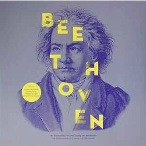 The Masterpieces Of Ludwig Van Beethoven - Vinyl | Various Artists imagine