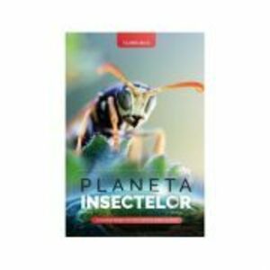 Planeta insectelor imagine