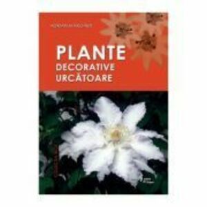 Plante decorative urcatoare - Adrian Margarit imagine