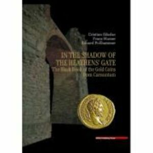 In the Shadow of the Heathens’ Gate. The Black Book of the Gold Coins from Carnuntum - Cristian Gazdac imagine