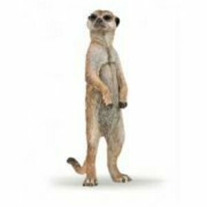 Figurina suricata, Papo imagine