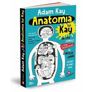 Anatomia lui Kay imagine
