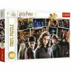 Puzzle 160 Harry Potter, Trefl imagine