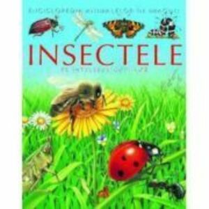Insectele pe intelesul copiilor - Emilie Beaumont imagine