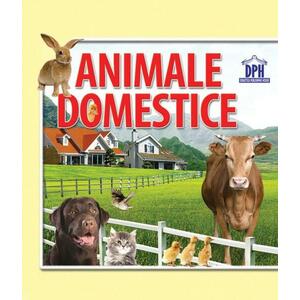 Cărți pliate - Animale domestice imagine