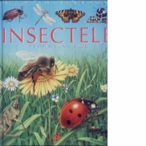 Insectele pe intelesul copiilor imagine