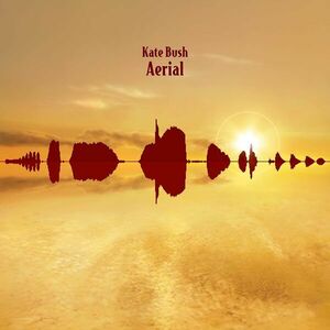 Aerial - Vinyl | Kate Bush imagine