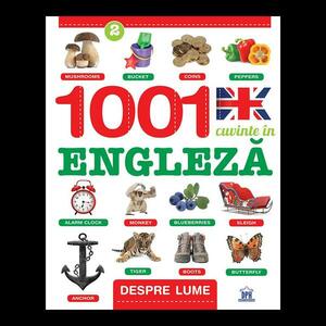 Despre lume - 1001 cuvinte in Engleza imagine