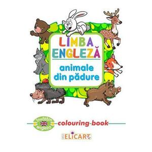 Limba engleză. Animale din pădure. Colouring book imagine