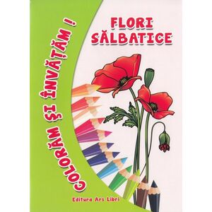 Flori salbatice - Coloram si invatam! imagine