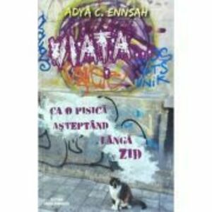Viata ca o pisica asteptand langa zid - Adya Ennsah imagine