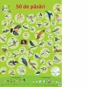 Planșă - 50 de păsări imagine