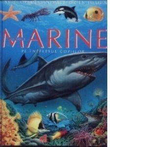 Animale marine pe intelesul copiilor imagine