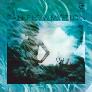 Flow Motion | Can imagine