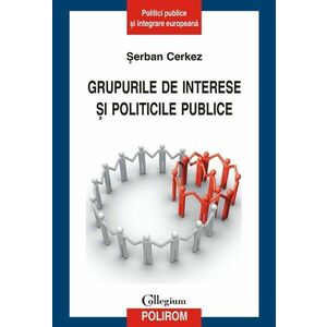 Grupurile de interese si politicile publice imagine