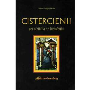 Cistercienii. Per visibilia ad invisibilia imagine