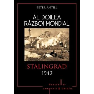 Al Doilea Razboi Mondial. Stalingrad 1942 imagine
