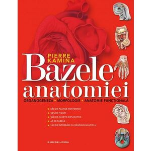 Bazele anatomiei imagine