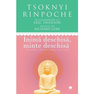 Tsoknyi Rinpoche imagine