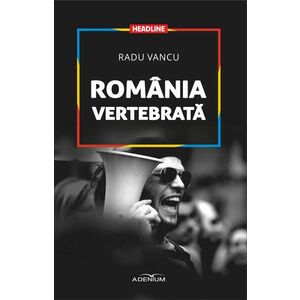 Realitati sociale si politici publice in Romania imagine