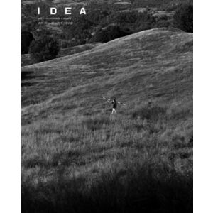 Revista IDEA arta+societate imagine