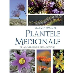 Plante medicinale De la remedii naturiste la medicina imagine