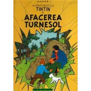 Aventurile lui Tintin. Afacerea Turnesol (Vol. 18) imagine