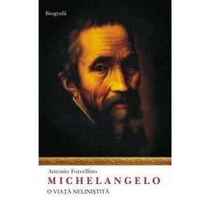 Michelangelo. O viata nelinistita imagine