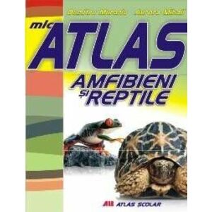 Mic atlas. Amfibieni și reptile imagine
