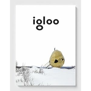 igloo #181 / dec 2017 – ian 2018 imagine