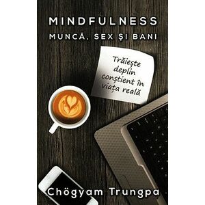 Mindfulness : Munca, Sex si Bani - Traieste deplin constient in viata reala imagine