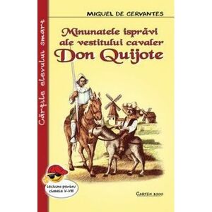 Minunatiile ispraviale vestitului cavaler Don Quijote/*** imagine