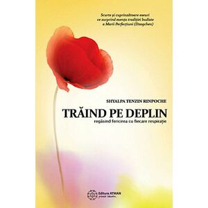 Traind Pe Deplin - Shyalpa Tenzin Rinpoche imagine