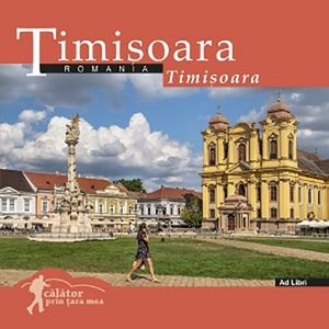 Timisoara imagine