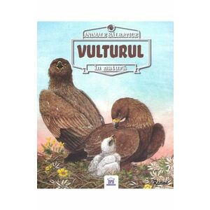 Animale salbatice in natura: Vulturul imagine