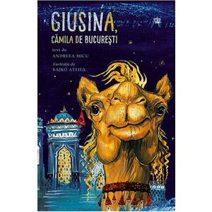 Giusina, camila de Bucuresti imagine
