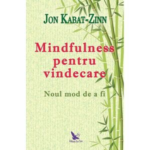 Mindfulness pentru vindecare - Jon Kabat-Zinn imagine