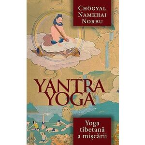 Yantra Yoga imagine