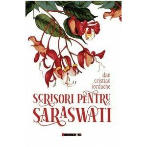 Scrisori pentru Saraswati imagine