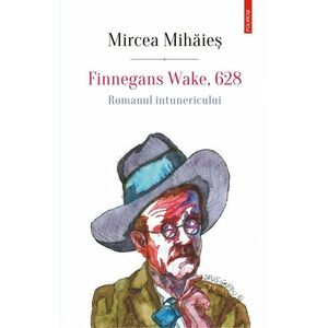 Finnegans Wake 628 imagine
